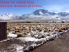 Andean-Plateau2