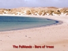 Falklands-Beach