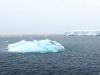 Ice-&-Icebergs2