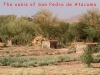 The-oasis-of-San-Pedro-de-Atacama