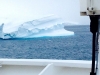Ice-&-Icebergs4